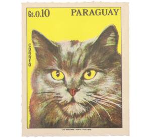 Почтовая марка 0.10 гуарани 1976 года Парагвай «Кошки» — Фото №1