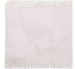 Почтовая марка 25 рублей 2012 года «XXII Олимпийские зимние игры в Сочи: Олимпийские зимние виды спорта» — Фото №2