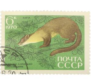 Почтовая марка 6 копеек 1970 года «35 лет Сихоте-Алинскому государственному заповеднику — Куница кирза» — Фото №1