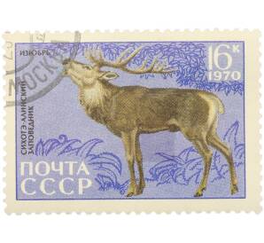Почтовая марка 16 копеек 1970 года «35 лет Сихоте-Алинскому государственному заповеднику — Олень изюбр» — Фото №1