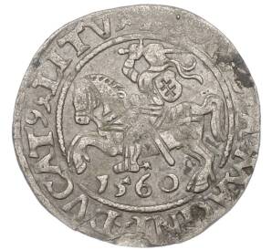 1/2 гроша 1560 года Литва — Фото №1