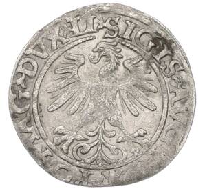 1/2 гроша 1560 года Литва — Фото №2