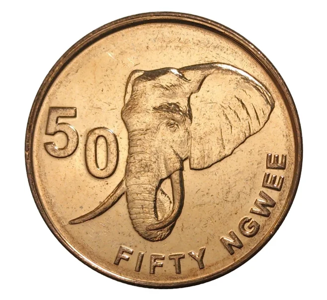 Монета 50 нгве 2012 года Замбия (Артикул M2-35413)