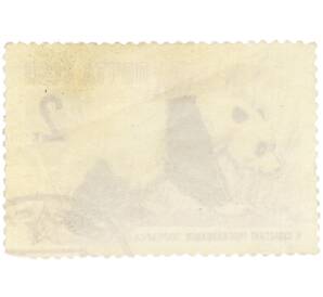 Почтовая марка 2 копейки 1964 года «100 лет Московскому зоопарку — Бамбуковый медведь» (С перфорацией) — Фото №2