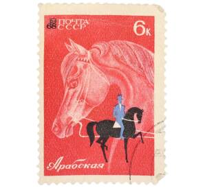 Почтовая марка 6 копеек 1968 года «Коневодство и конный спорт — Арабская лошадь» — Фото №1