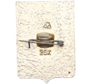 Значок «Герб города Шумерля» — Фото №2