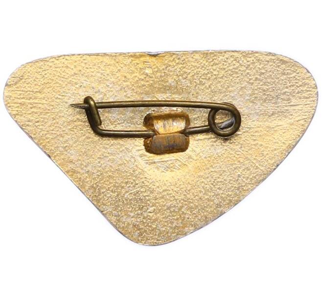 Значок «Минск» (Артикул: K8-1896) — Фото №2