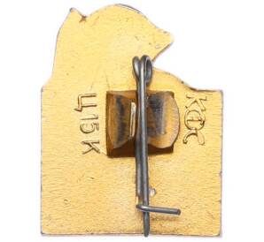 Значок «Таймыр» — Фото №2