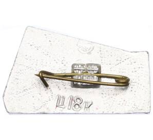 Значок «Брянск — Город Партизанской Славы» — Фото №2