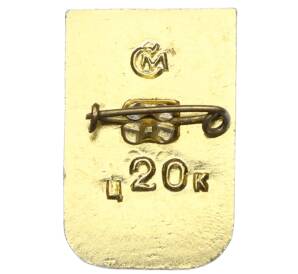 Значок «Севастополь — Вечный огонь» — Фото №2