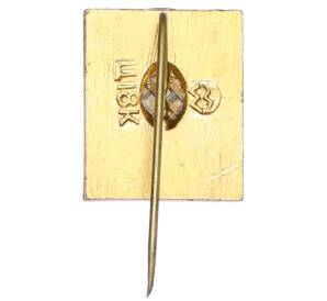 Значок «Кисловодск» — Фото №2