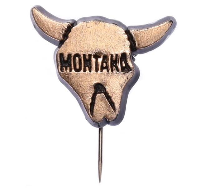 Значок «Штат США — Монтана» (Артикул: K8-1940) — Фото №1