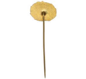 Значок «Нефтепровод «Дружба — компания Benzina» — Фото №2