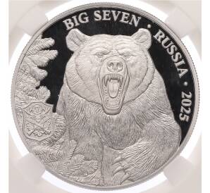 500 франков 2025 года Камерун «Большая семерка России — Медведь» в слабе ННР (PF70) — Фото №1