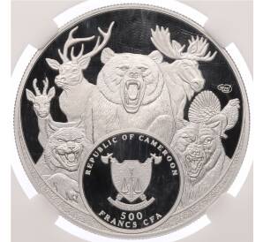 500 франков 2025 года Камерун «Большая семерка России — Медведь» в слабе ННР (PF70) — Фото №2