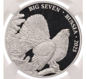 500 франков 2025 года Камерун «Большая семерка России — Глухарь» в слабе ННР (PF70) — Фото №1