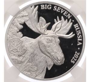 500 франков 2025 года Камерун «Большая семерка России — Лось» в слабе ННР (PF70) — Фото №1