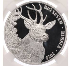 500 франков 2025 года Камерун «Большая семерка России — Олень» в слабе ННР (PF70) — Фото №1