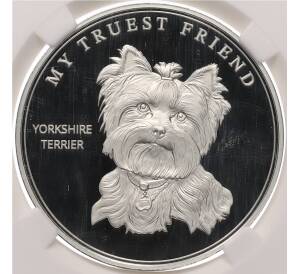 1000 франков 2025 года Камерун «Мой самый верный друг — Йоркширский Терьер» в слабе ННР (PF70) — Фото №1
