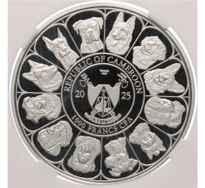 1000 франков 2025 года Камерун «Мой самый верный друг — Йоркширский Терьер» в слабе ННР (PF70) — Фото №2