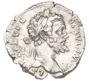 Денарий 194-195 года Римская Империя — Септимий Север — Фото №1