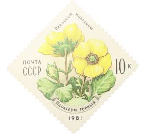 Почтовая марка 10 копеек 1981 года «Цветы украинских Карпат — Горный парагеум» — Фото №1