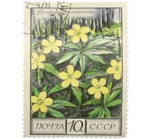 Почтовая марка 10 копеек 1975 года «Флора СССР — Ветреница лютичная» — Фото №1