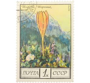 Почтовая марка 1 копейка 1976 года «Цветы гор Кавказа — Шафран Шарояна» — Фото №1