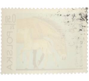 Почтовая марка 0.50 злотых 1978 года Польша «50 лет Варшавскому зоопарку — Лошадь Пржевальского» — Фото №2