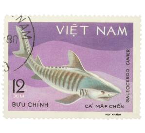 Почтовая марка 12 сю 1980 года Вьетнам «Морская жизнь — Тигровая акула Galeocerdo cuvier» — Фото №1