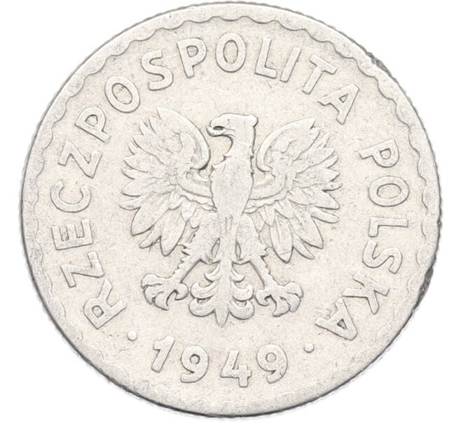 Монета 1 злотый 1949 года Польша (Артикул: K12-86150) — Фото №2
