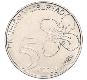 5 песо 2020 года Аргентина — Фото №1