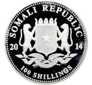100 шиллингов 2014 года Сомали «Дикая природа Африки — Слон» — Фото №2