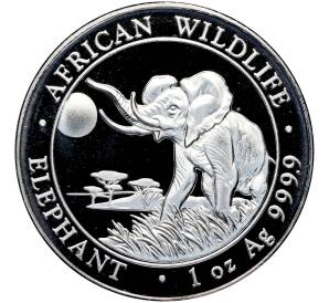 100 шиллингов 2016 года Сомали «Дикая природа Африки — Слон» — Фото №1