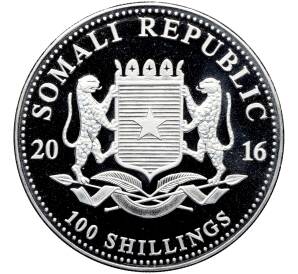 100 шиллингов 2016 года Сомали «Дикая природа Африки — Слон» — Фото №2