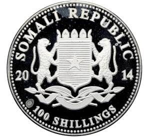 100 шиллингов 2014 года Сомали «Дикая природа Африки — Слон» — Фото №2