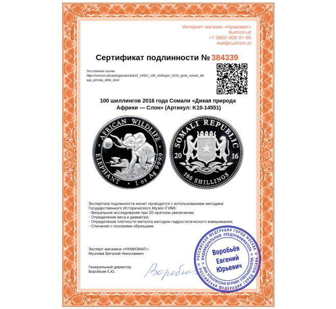 Монета 100 шиллингов 2016 года Сомали «Дикая природа Африки — Слон» (Артикул: K10-14551)