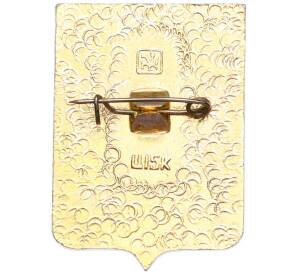 Значок «Герб города Верхнеднепровск» — Фото №2