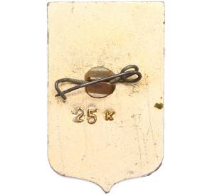 Значок «Герб города Сороки» — Фото №2