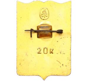 Значок «Герб города Елабуга» — Фото №2