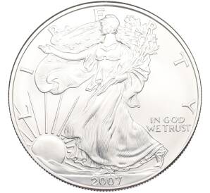 1 доллар 2007 года США «Шагающая Свобода» — Фото №1