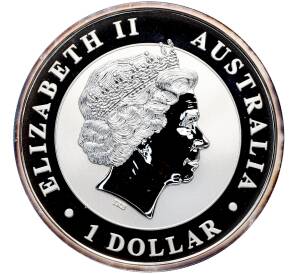 1 доллар 2015 года Австралия «Клинохвостый орел» — Фото №2