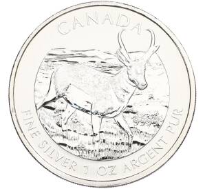 5 долларов 2013 года Канада «Канадская Фауна — Вилорог» — Фото №1