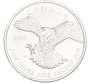 5 долларов 2014 года Канада «Хищные птицы — Сапсан» — Фото №1