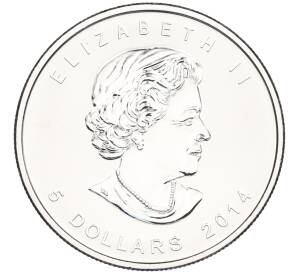 5 долларов 2014 года Канада «Хищные птицы — Сапсан» — Фото №2