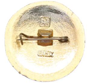 Значок «Золотое кольцо — Герб города Шуя» — Фото №2