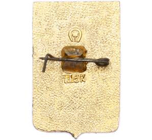 Значок «Герб города Туапсе» — Фото №2