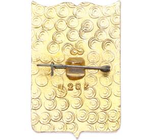 Значок «Герб города Нижнекамск» — Фото №2