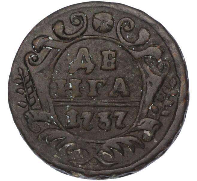 Монета Денга 1737 года (Артикул: K7-0210) — Фото №1