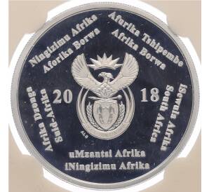 2 рэнда 2018 года ЮАР «Чемпионат мира по футболу 2018 в России» (В слабе) — Фото №2